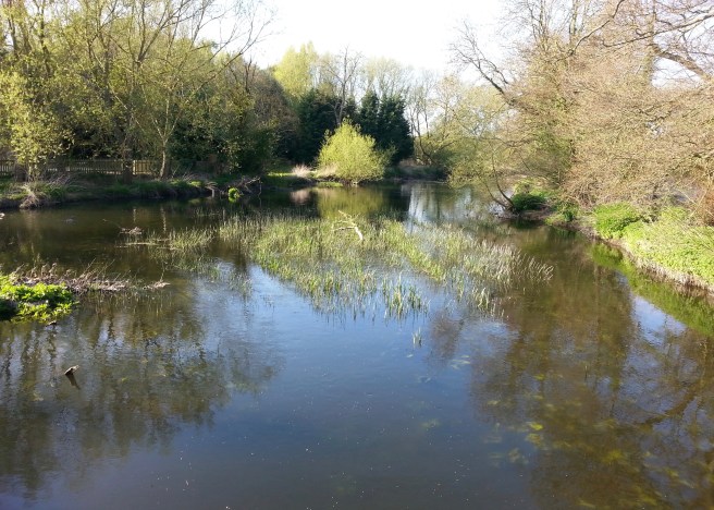 20150423_173419 2.jpg