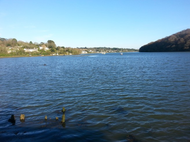 20170325_165420 2.jpg