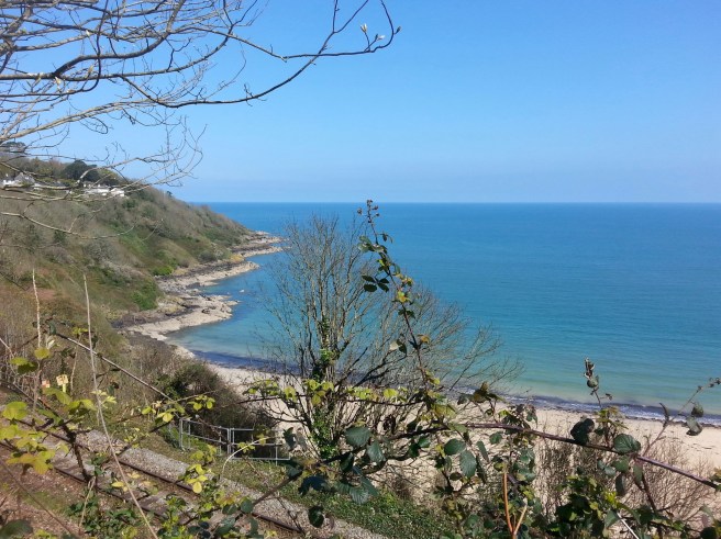 20170407_115011 2.jpg