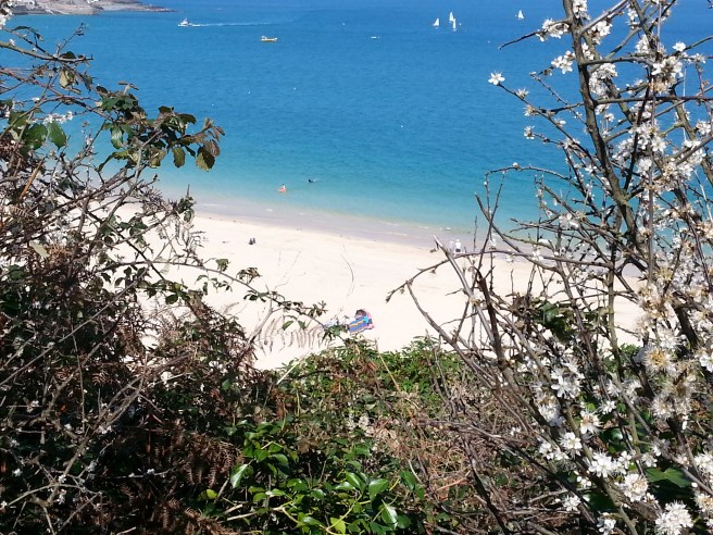 20170408_141224 2.jpg