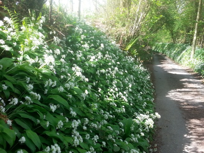 20170505_161931 2.jpg