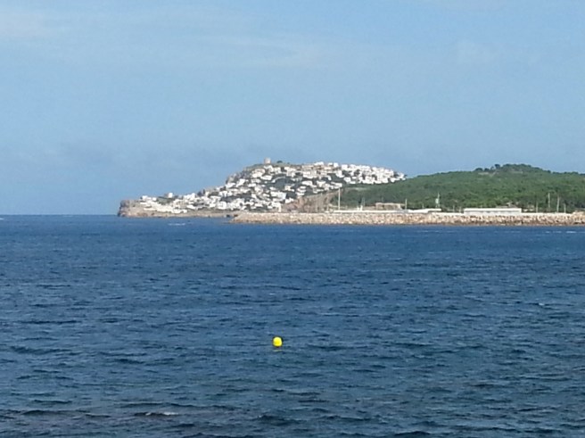 20170719_180936 2.jpg