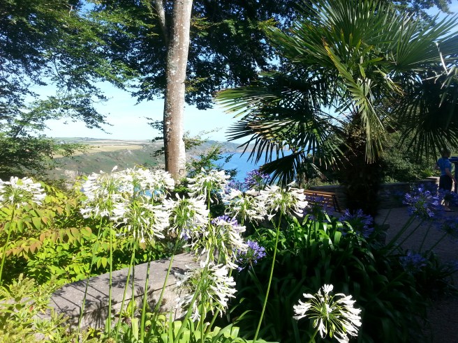 20170813_160334 2.jpg