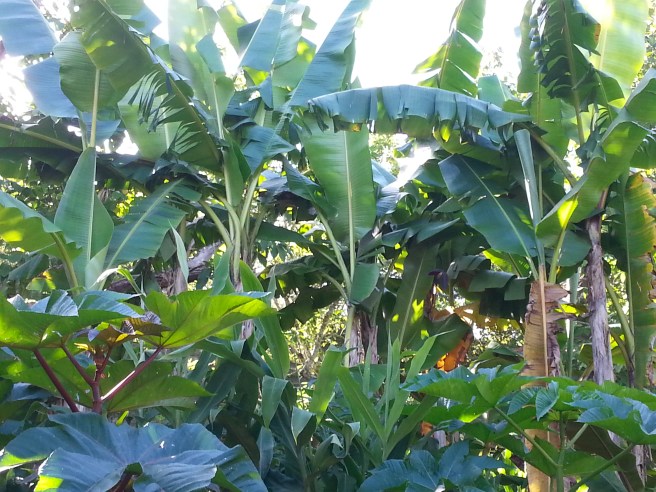 20170813_161347 2.jpg