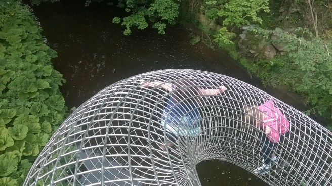 WP_20170730_11_10_19_Pro