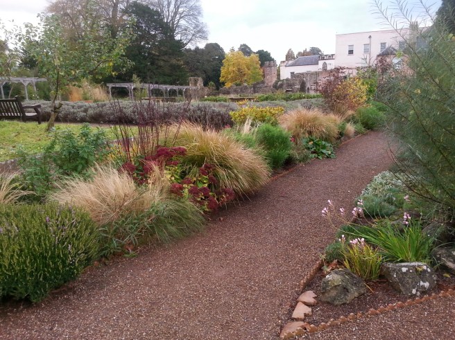 20171109_152403 2.jpg