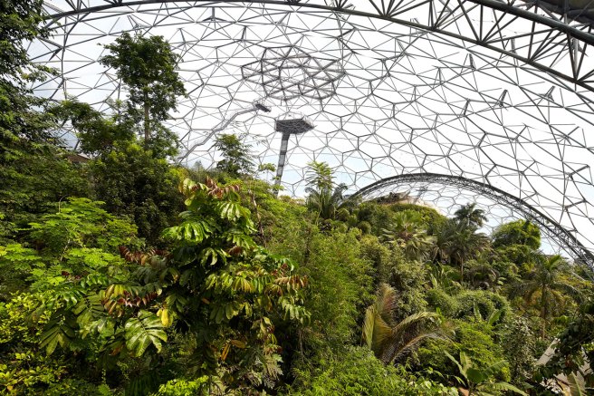 rainforest-biome-eden-project-2015-©Hufton+Crow-004.jpg