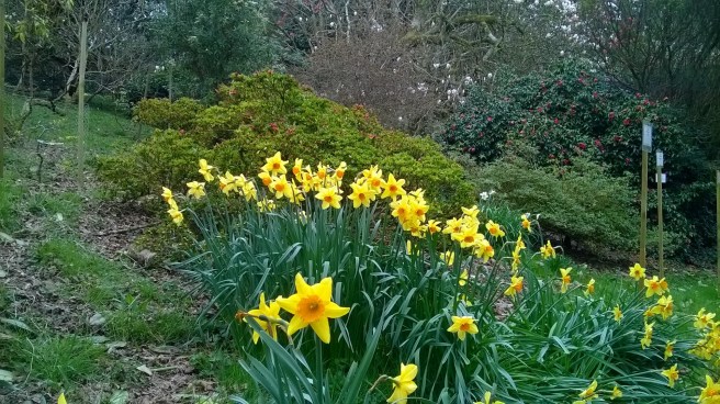 WP_20180413_14_37_50_Pro 2.jpg