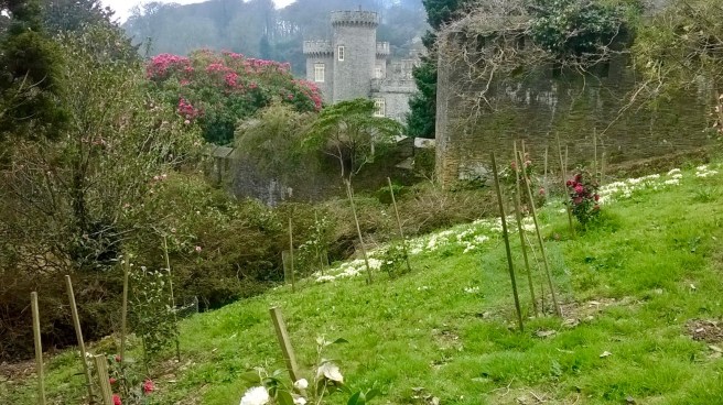 WP_20180413_15_13_24_Pro 2.jpg