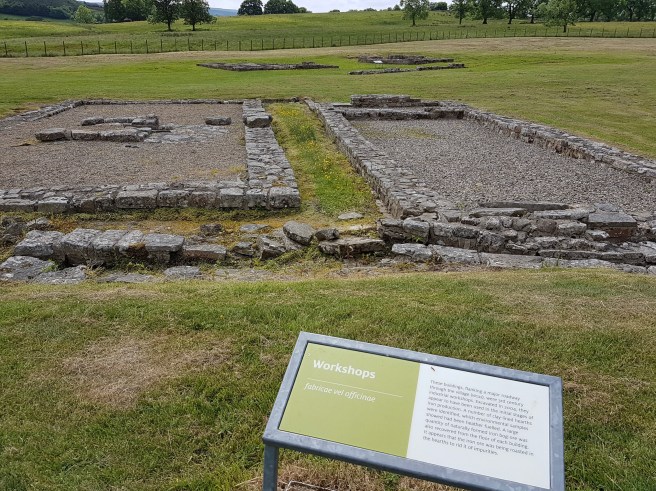 20180611_133452 2.jpg