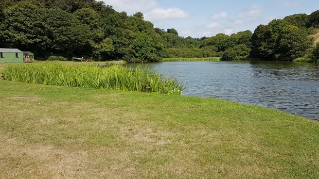 20180806_125330 2.jpg