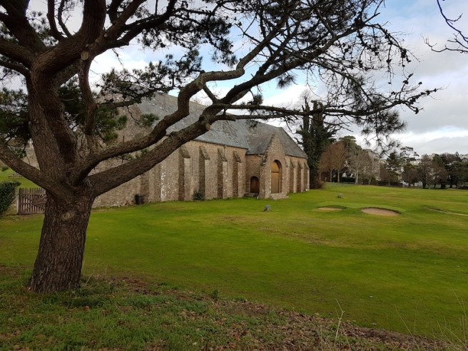 20190125_130152 copy.jpg