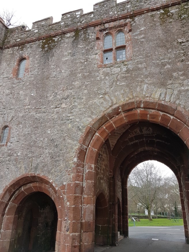 20190125_133324 copy.jpg