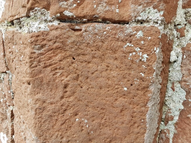 20190125_133352 copy.jpg