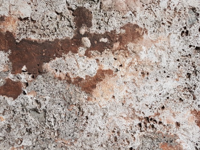 20190125_133403 copy.jpg