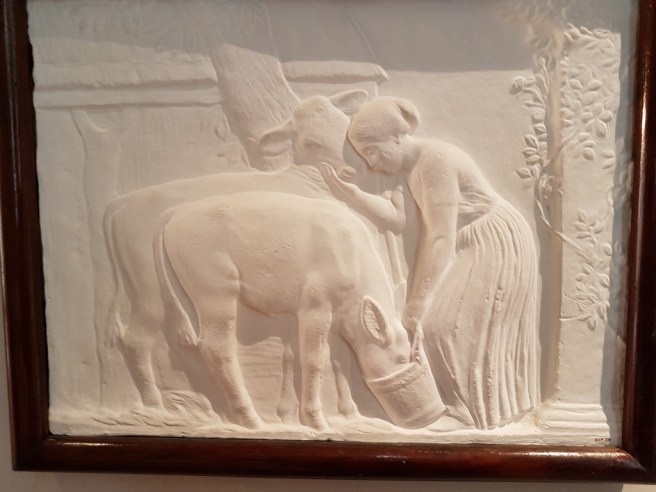 20190125_142558 copy.jpg