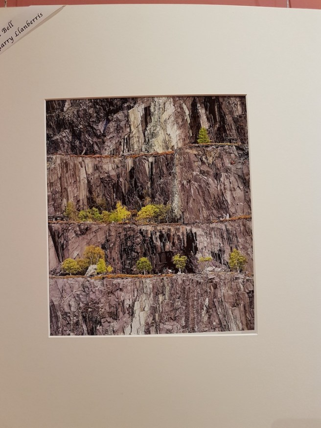 20190125_142827 copy.jpg