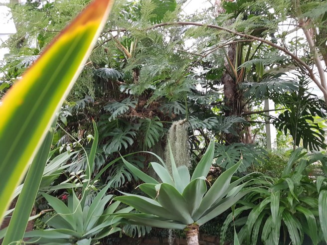 20190125_151515_001 copy.jpg