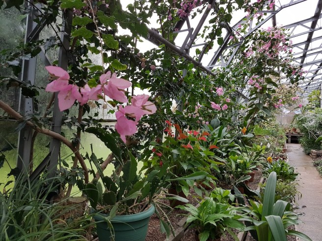 20190125_151529 copy.jpg