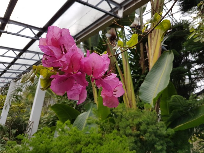 20190125_151544 copy.jpg