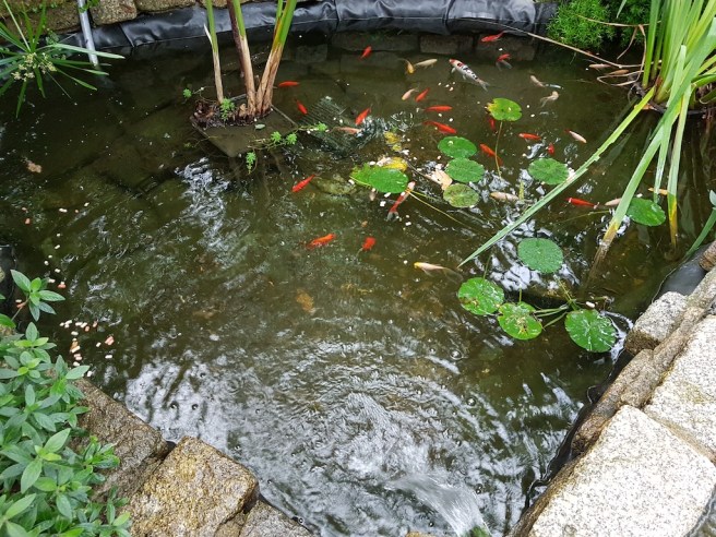 20190125_151630 copy.jpg