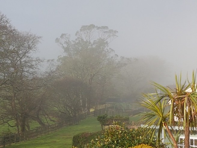 20190119_104614 copy.jpg