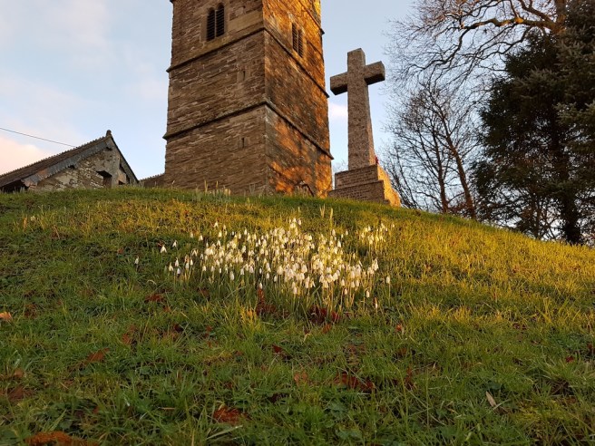 20190119_163606 copy.jpg