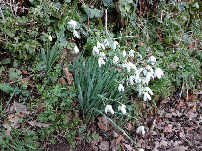 20190202_162206 copy.jpg