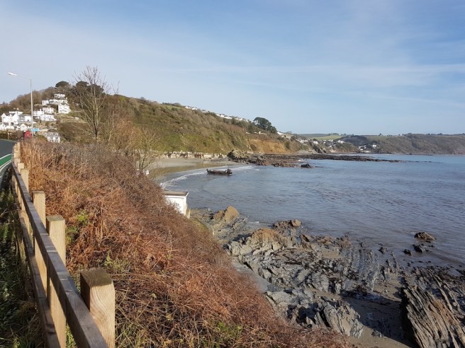 20190206_112454 copy.jpg