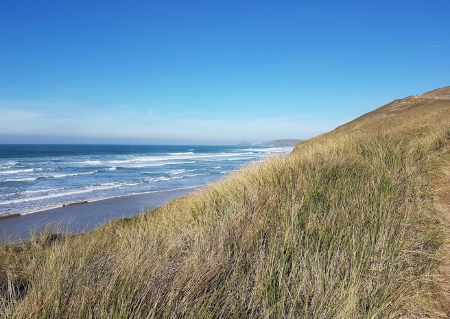 20190214_130627 copy.jpeg