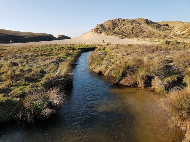 20190214_153350 copy.jpg