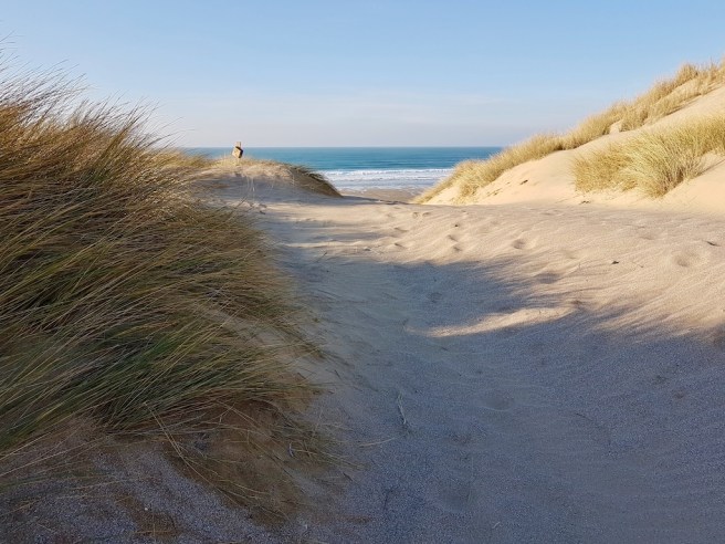 20190214_153846 copy.jpeg