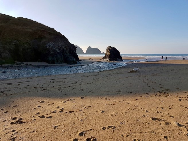 20190214_154936 copy.jpeg