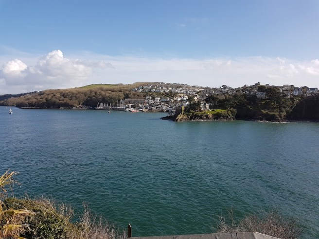 20190218_132934 copy.jpg