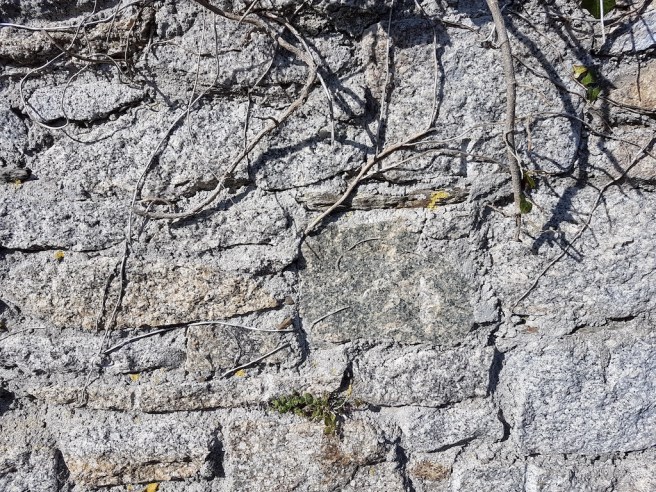 20190218_133312 copy.jpg