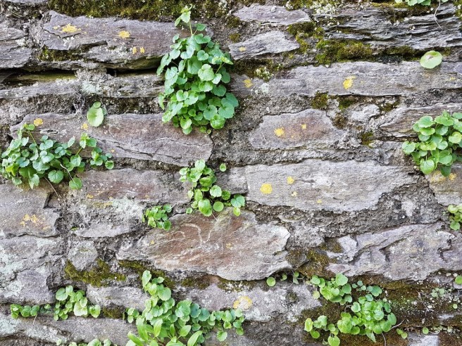 20190218_133729 copy.jpg