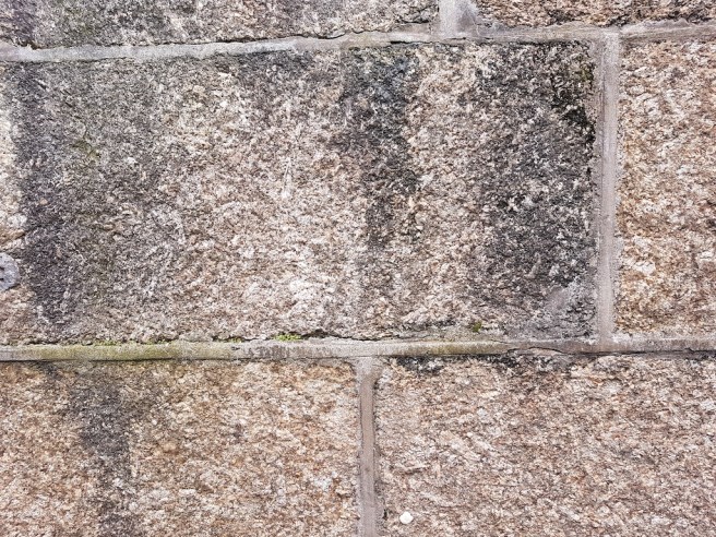 20190218_140746 copy.jpg