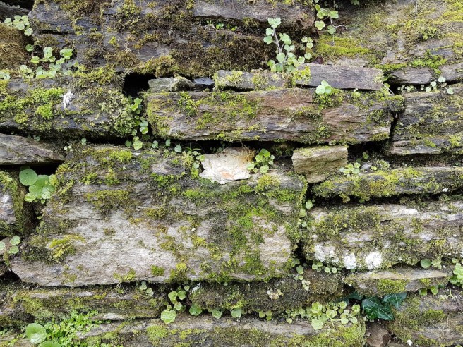 20190219_105502 copy.jpg