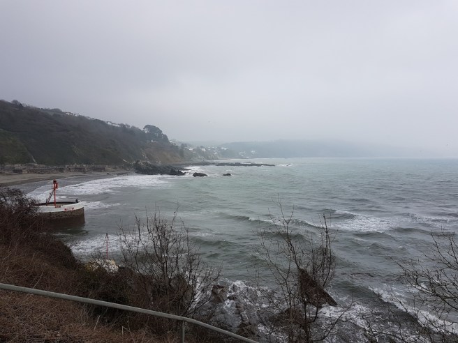 20190222_111756 copy.jpg