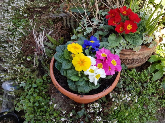 20190224_115017 copy.jpg