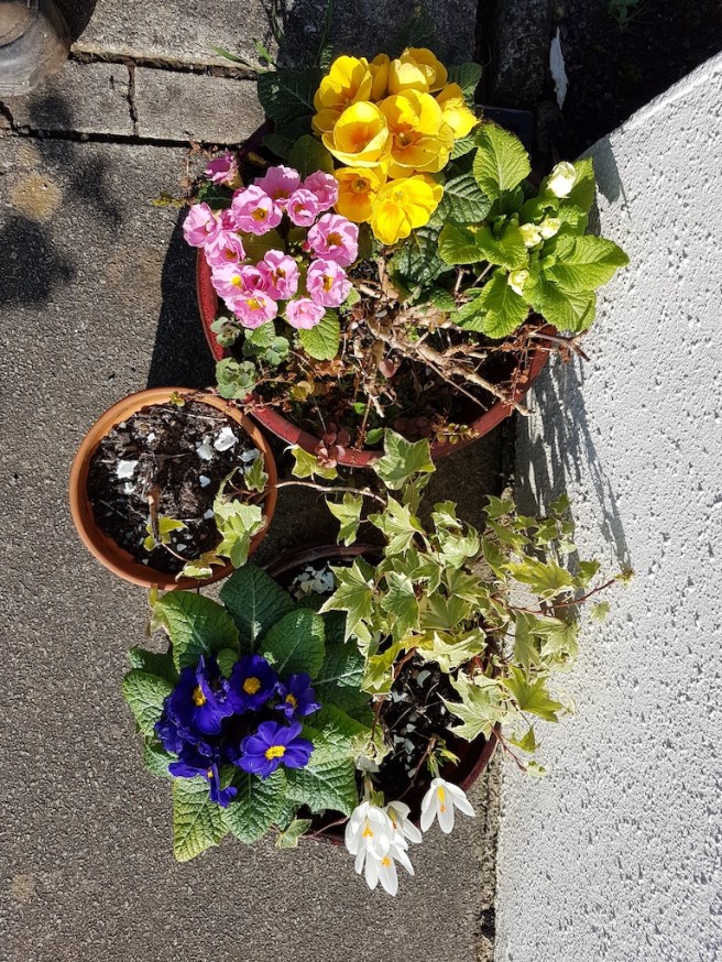 20190224_115116 copy.jpg