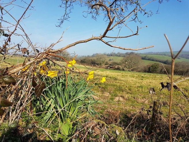 20190224_120401 copy.jpg