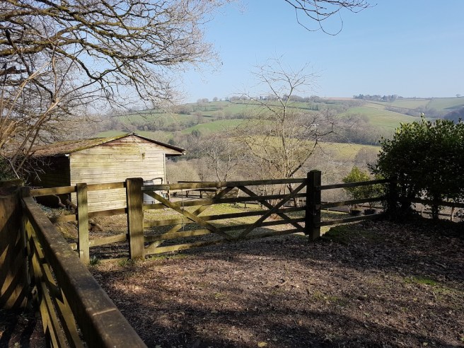 20190224_121637 copy.jpg