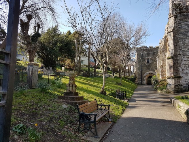 20190225_123302 copy.jpg