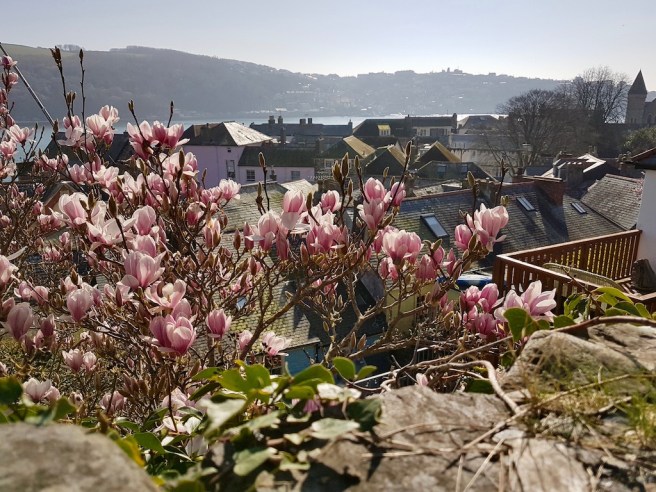 20190225_124032 copy.jpeg