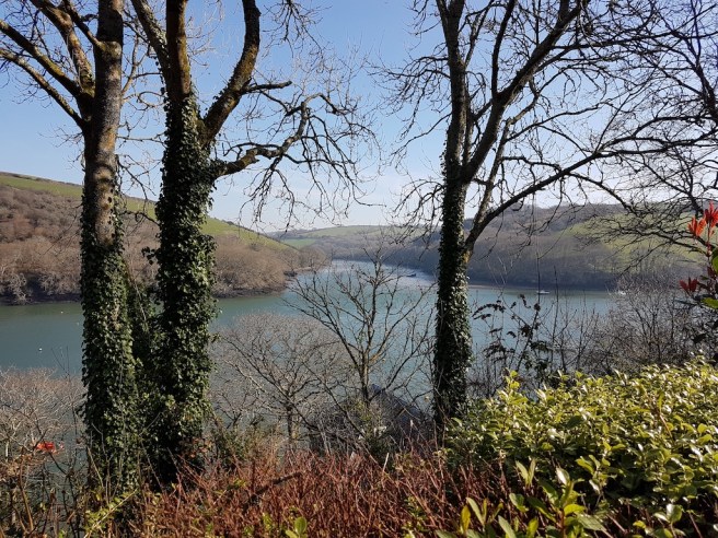 20190225_130606 copy.jpg