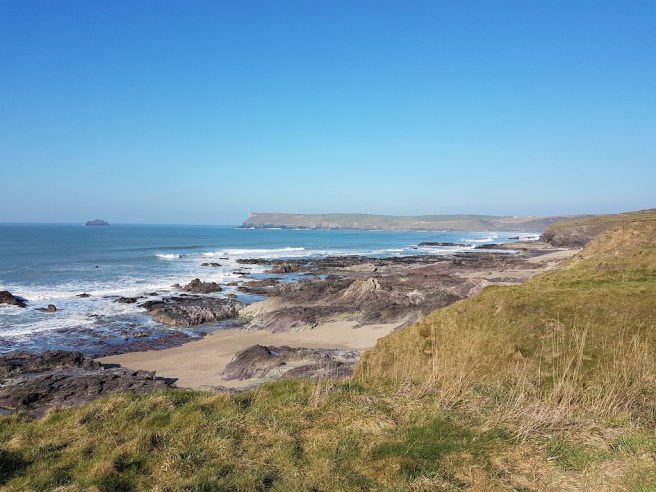 20190226_141727 copy.jpg