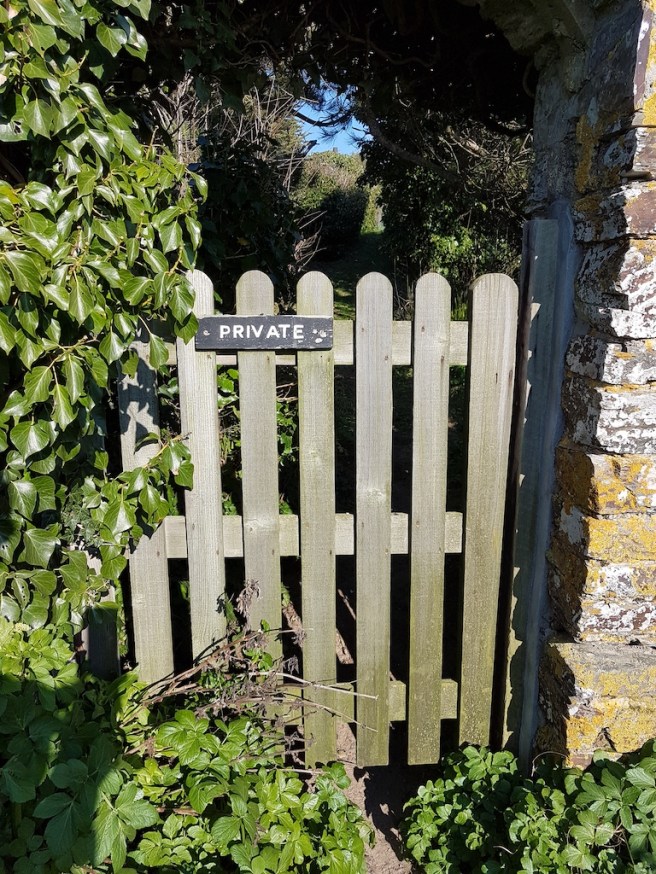 20190226_142431 copy.jpg