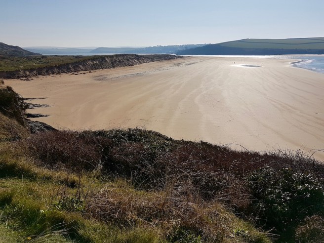 20190226_144147 copy.jpeg