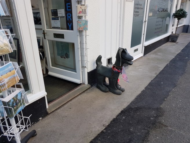 20190226_155732 copy.jpg